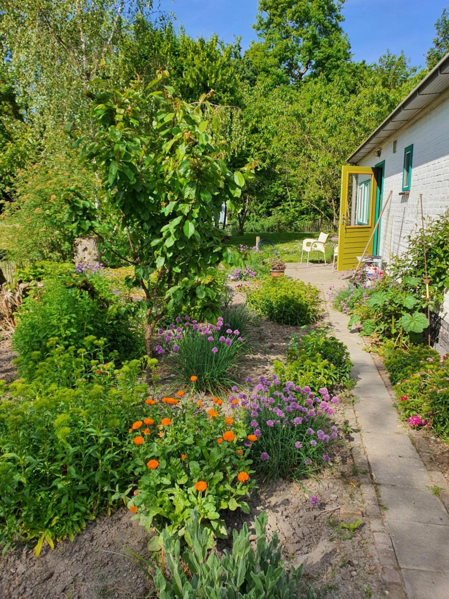 Huisje Fiederels Villa Bant Exterior photo
