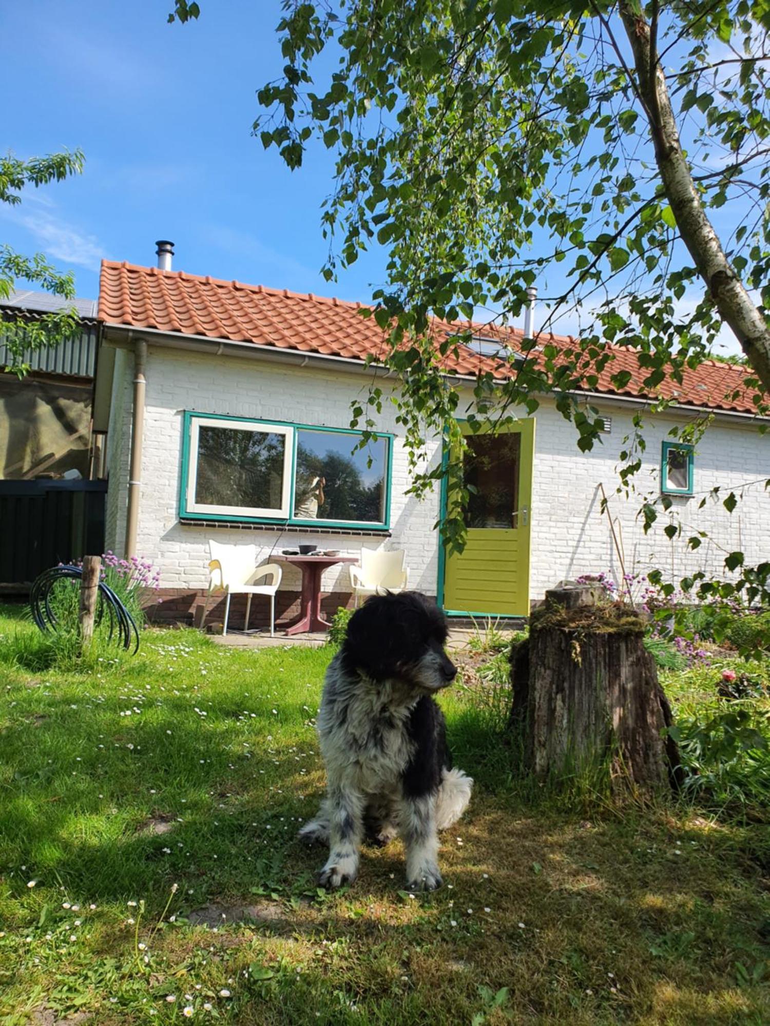 Huisje Fiederels Villa Bant Exterior photo